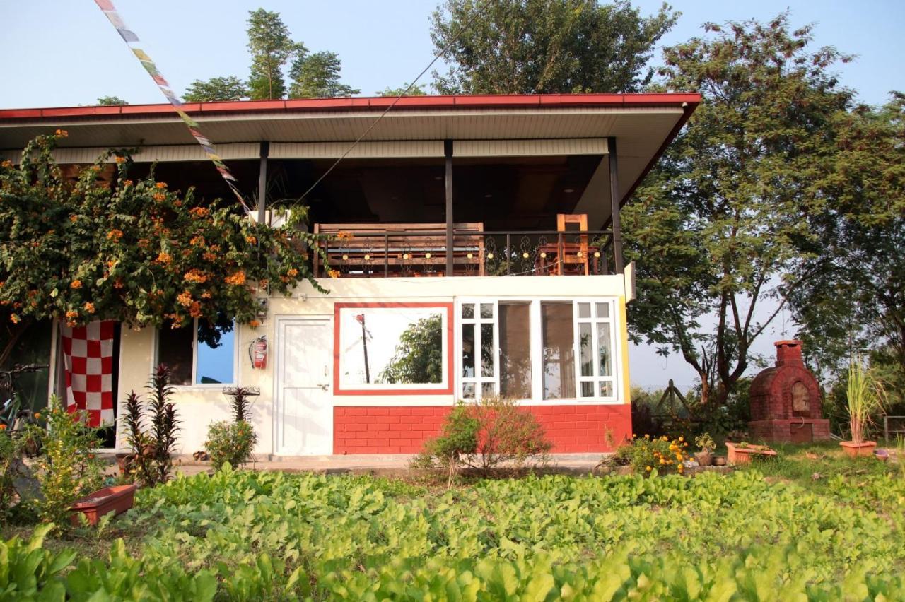 The Glasshouse Hotel Kawasoti Buitenkant foto